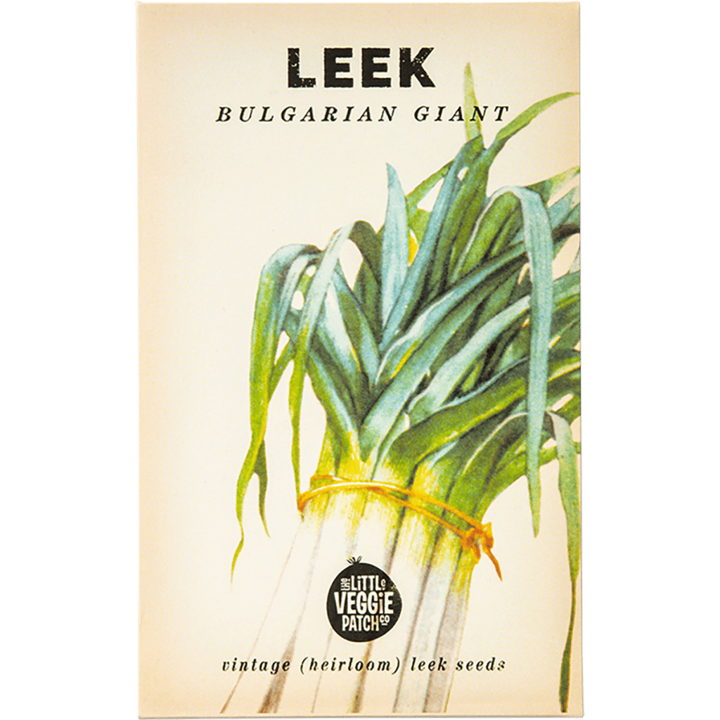 leek-bulgarian-giant-seeds-creation-landscape-supplies